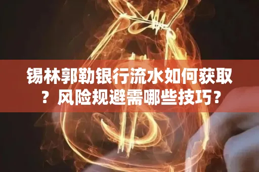 锡林郭勒银行流水如何获取?风险规避需哪些技巧?