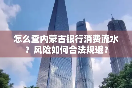 怎么查内蒙古银行消费流水?风险如何合法规避?