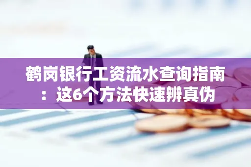 鹤岗银行工资流水查询指南:这6个方法快速辨真伪