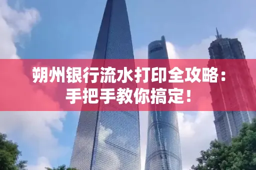 朔州银行流水打印全攻略:手把手教你搞定!
