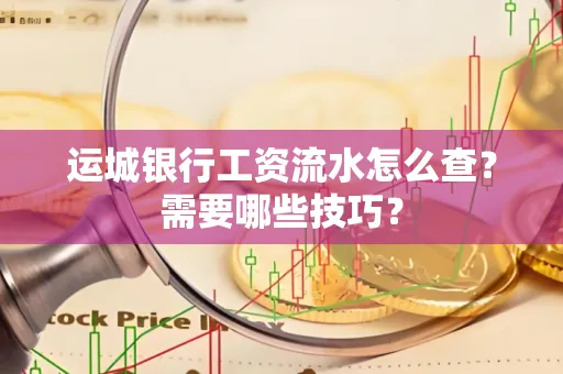 运城银行工资流水怎么查?需要哪些技巧?