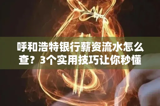 呼和浩特银行薪资流水怎么查?3个实用技巧让你秒懂