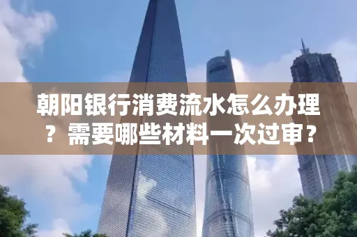 朝阳银行消费流水怎么办理?需要哪些材料一次过审?