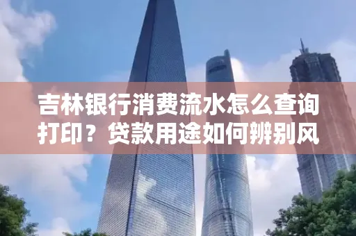 吉林银行消费流水怎么查询打印?贷款用途如何辨别风险?