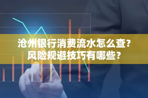 沧州银行消费流水怎么查?风险规避技巧有哪些?
