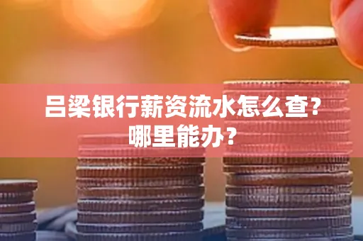 吕梁银行薪资流水怎么查?哪里能办?