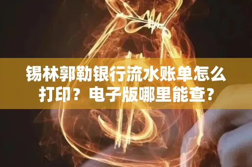 锡林郭勒银行流水账单怎么打印?电子版哪里能查?