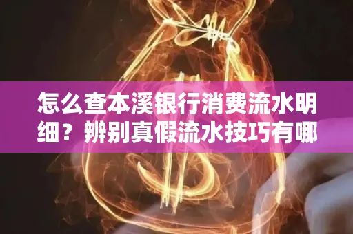 怎么查本溪银行消费流水明细?辨别真假流水技巧有哪些?
