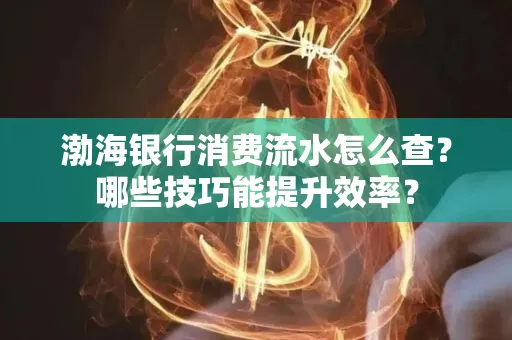 渤海银行消费流水怎么查?哪些技巧能提升效率?