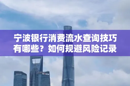 宁波银行消费流水查询技巧有哪些?如何规避风险记录?