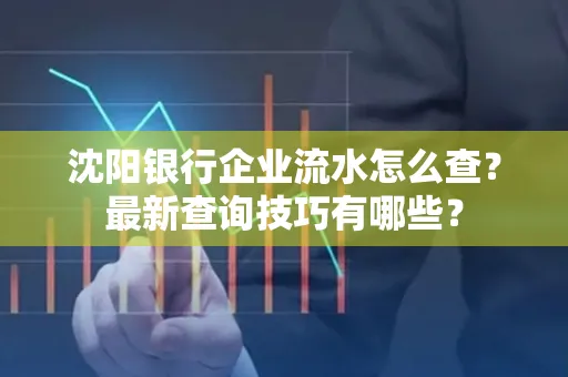 沈阳银行企业流水怎么查?最新查询技巧有哪些?