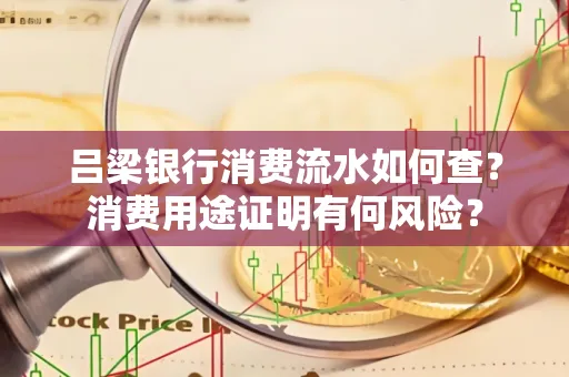 吕梁银行消费流水如何查?消费用途证明有何风险?