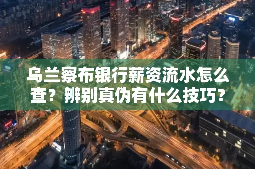 乌兰察布银行薪资流水怎么查?辨别真伪有什么技巧?