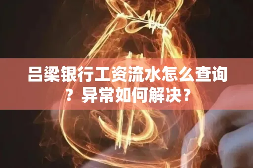 吕梁银行工资流水怎么查询?异常如何解决?