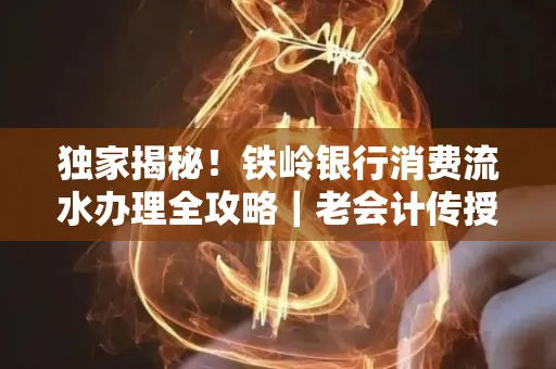 独家揭秘!铁岭银行消费流水办理全攻略|老会计传授防诈技巧