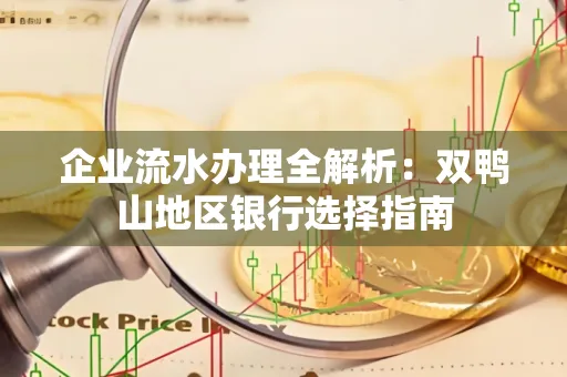 企业流水办理全解析:双鸭山地区银行选择指南