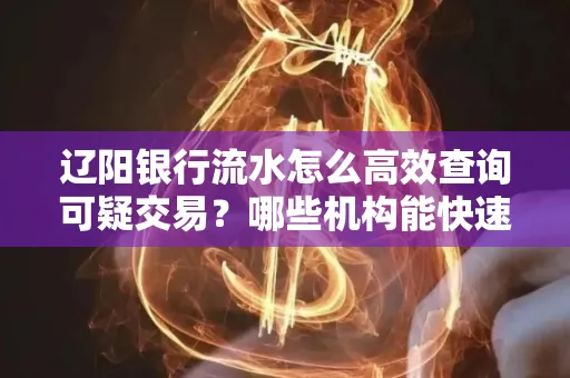 辽阳银行流水怎么高效查询可疑交易?哪些机构能快速分析账单风险?