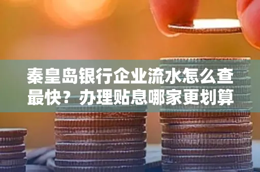秦皇岛银行企业流水怎么查最快?办理贴息哪家更划算?