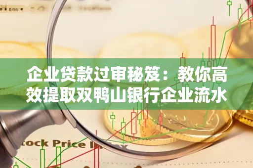 企业贷款过审秘笈:教你高效提取双鸭山银行企业流水