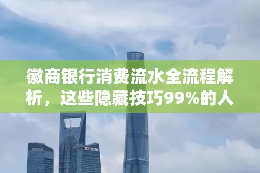 徽商银行消费流水全流程解析,这些隐藏技巧99%的人不知道