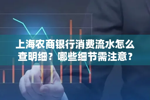 上海农商银行消费流水怎么查明细?哪些细节需注意?