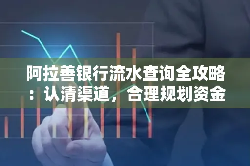 阿拉善银行流水查询全攻略:认清渠道,合理规划资金流动技巧