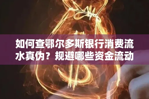 如何查鄂尔多斯银行消费流水真伪?规避哪些资金流动风险?防范要点解析