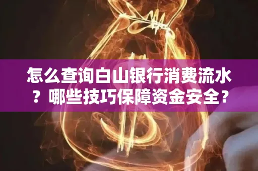 怎么查询白山银行消费流水?哪些技巧保障资金安全?