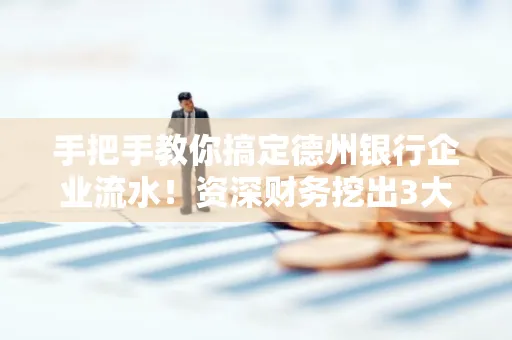 手把手教你搞定德州银行企业流水!资深财务挖出3大隐藏风险点