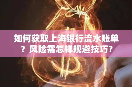 如何获取上海银行流水账单？风险需怎样规避技巧？