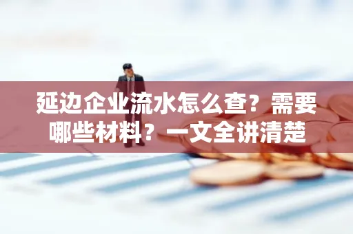 延边企业流水怎么查?需要哪些材料?一文全讲清楚