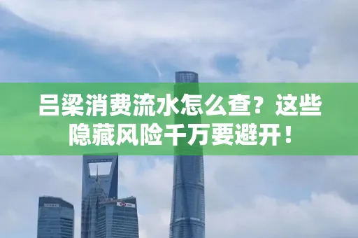 吕梁消费流水怎么查?这些隐藏风险千万要避开!