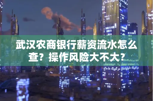 武汉农商银行薪资流水怎么查?操作风险大不大?