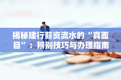 揭秘建行薪资流水的“真面目”:辨别技巧与办理指南大公开