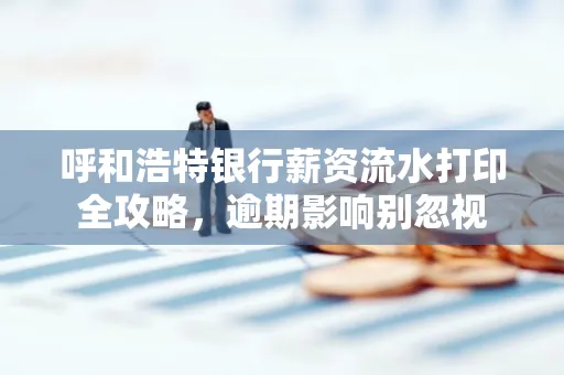 呼和浩特银行薪资流水打印全攻略,逾期影响别忽视
