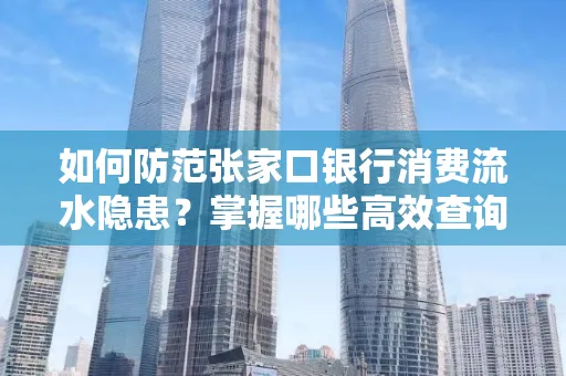 如何防范张家口银行消费流水隐患?掌握哪些高效查询技巧?