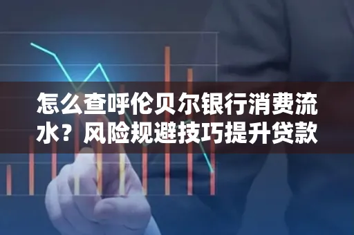 怎么查呼伦贝尔银行消费流水?风险规避技巧提升贷款率?