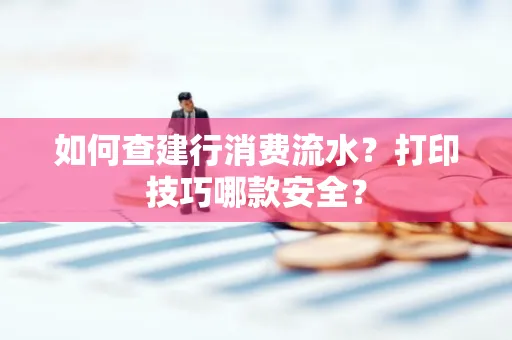 如何查建行消费流水?打印技巧哪款安全?